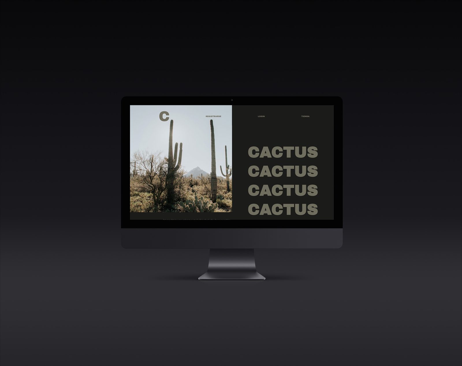 Cactus — imagen 1