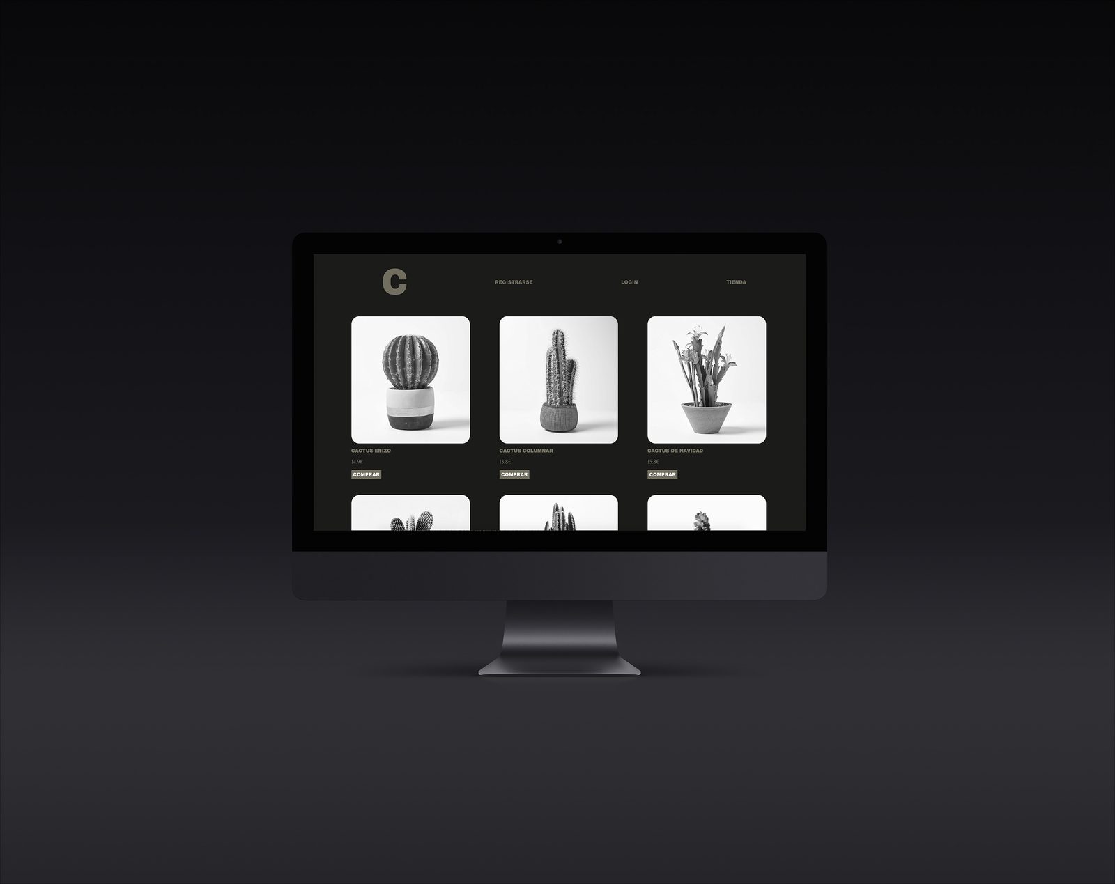 Cactus — imagen 2